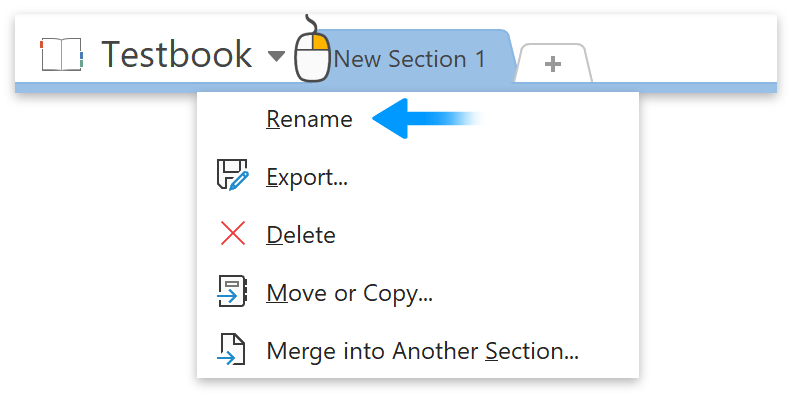Right-click section tab > Rename.